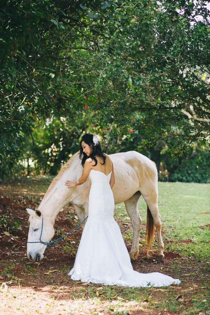 noiva com cavalo casamento coreano pré wedding